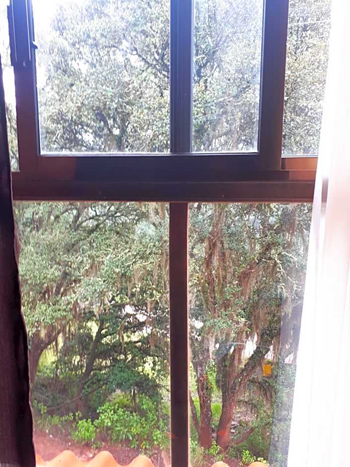 La Misión Hotel Chignahuapan