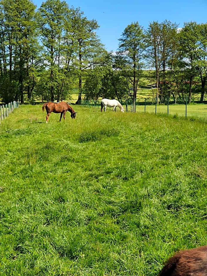 Budget Hotel Biebertal am Milseburgradweg