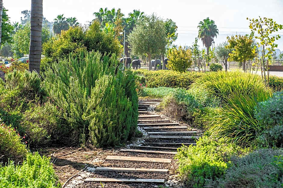 The Village- Jordan Riverside Travel Hotel