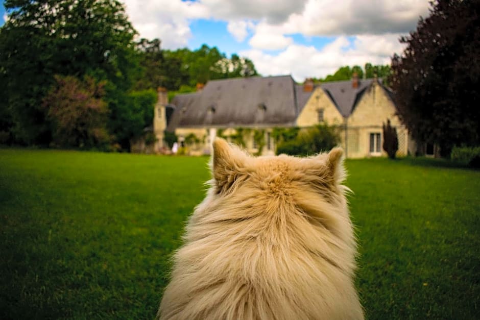 Bed & Breakfast - La closerie de la Fuye