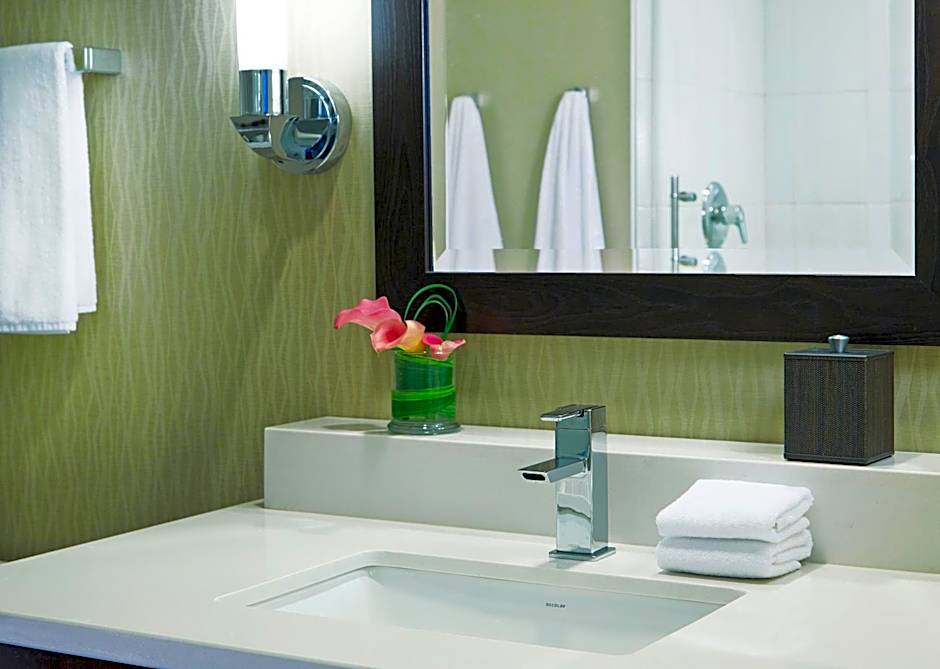 Hyatt Regency Atlanta Perimeter at Villa Christina