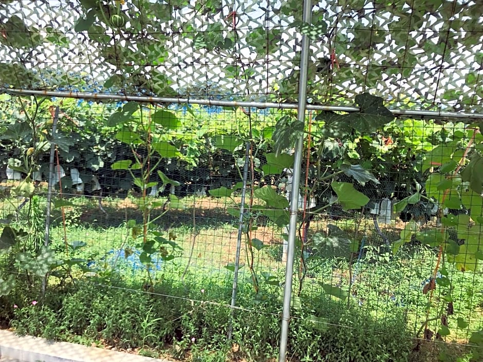 Grand Mercure Zhengzhou West