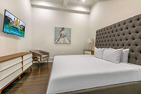 Newly Renovated Condos French Quarter