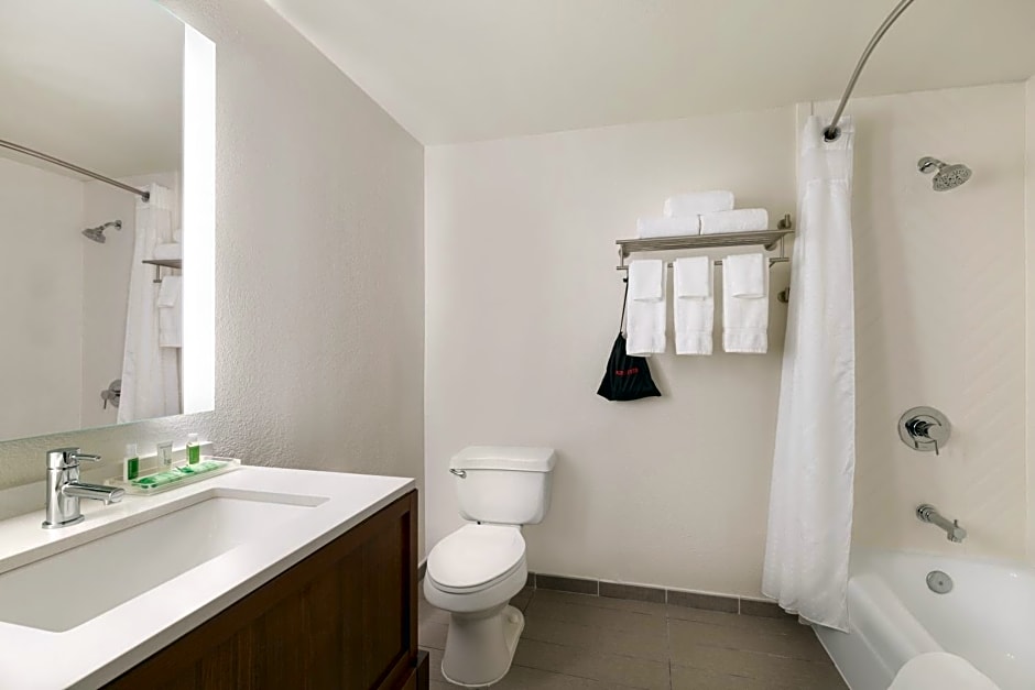 Holiday Inn Houston Intercontinental Airport By IHG