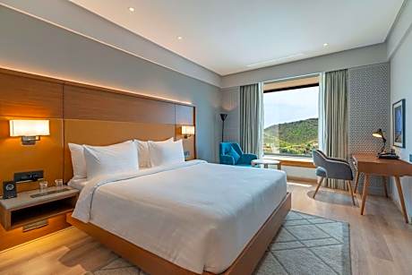 Superior Room with Valley View