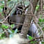 Magoebaskloof Getaway