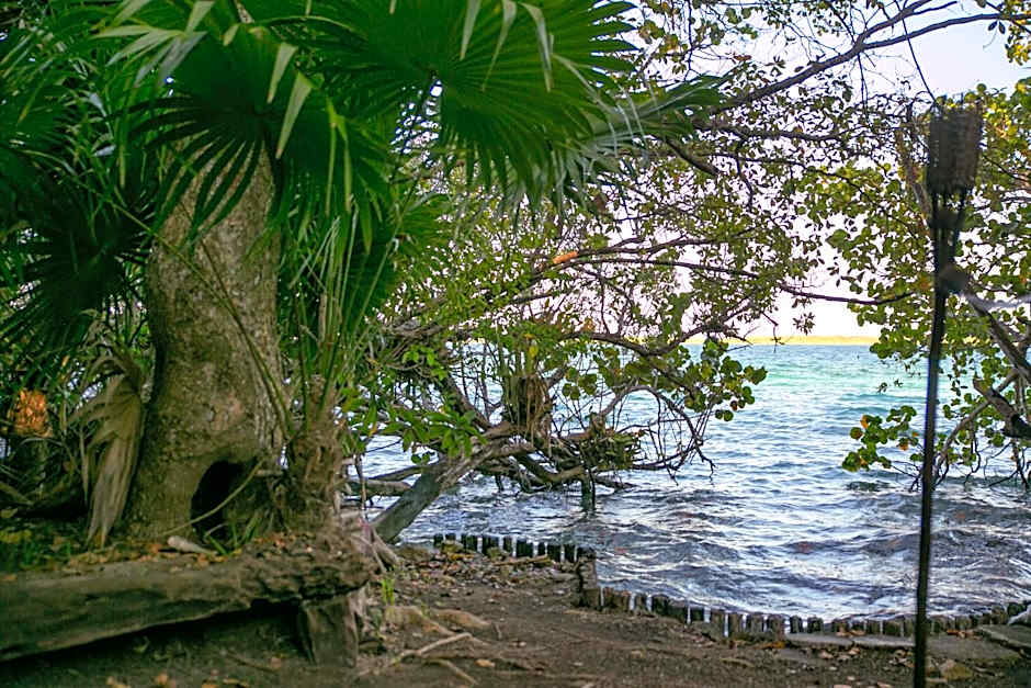 Hotel Buenavista Bacalar Jungle Experience