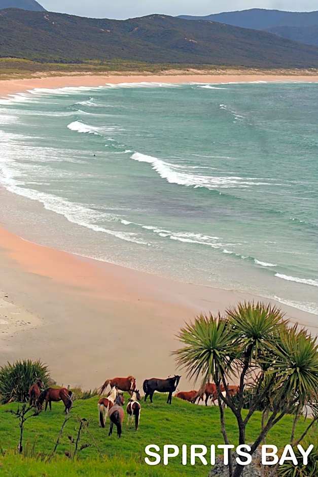 Pukenui Holiday Park