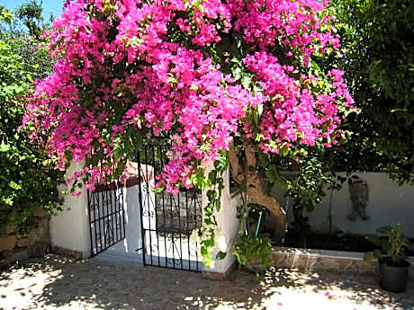 Eleftheria Lindian Studios II