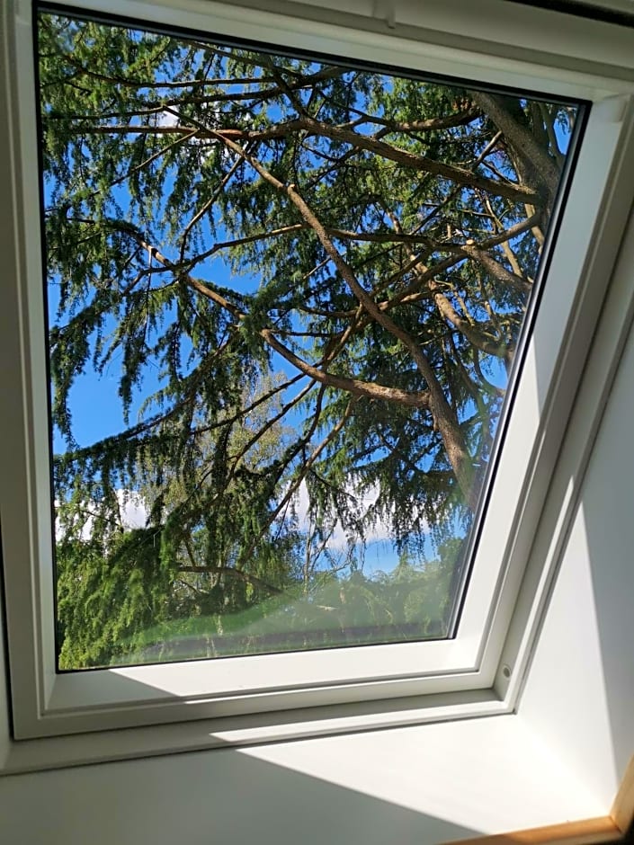 Le moulin de La Retardière