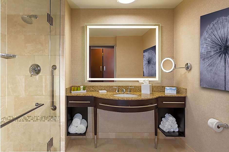 Hilton Americas- Houston