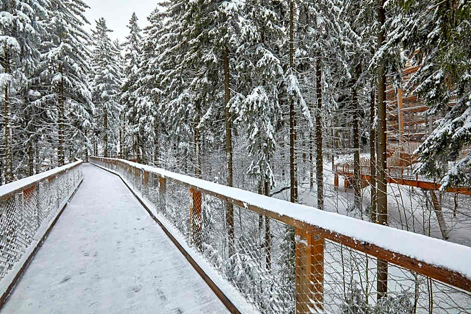Ski Hotel Svoboda nad Úpou