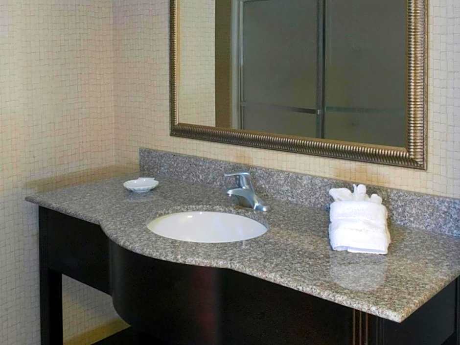 Hampton Inn By Hilton And Suites Savannah-Airport