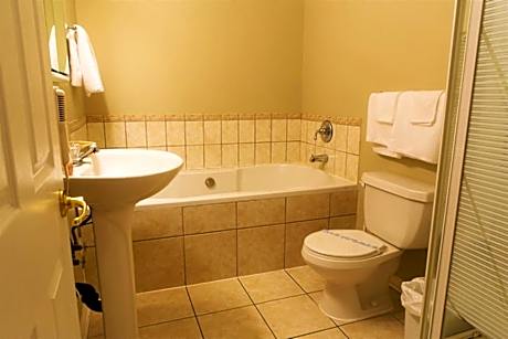 One-Bedroom Suite with Kitchenette