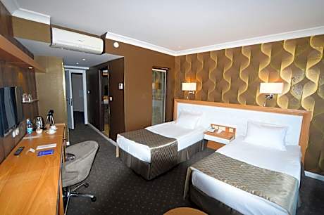 Deluxe Double or Twin Room with City View