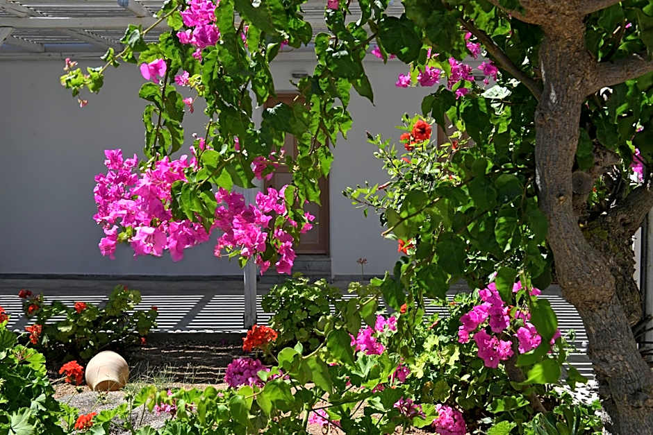 Surfing Beach Village Paros