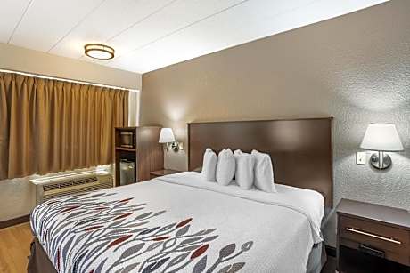 Business King Room Disability Access Roll-In Shower Smoke Free