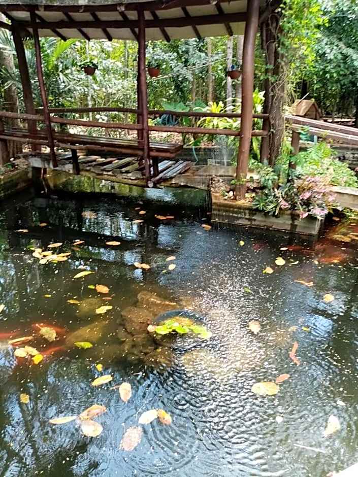 Centro Social Ecoturistico La Alberca