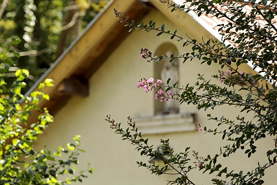 Chateau Saint Martin B&B