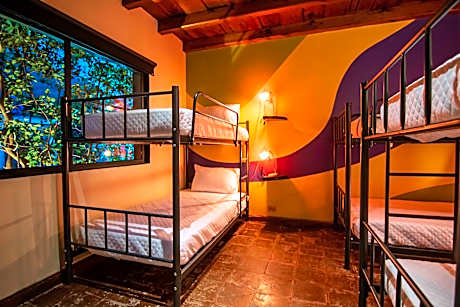 Bed in 6-Bed Dormitory Room