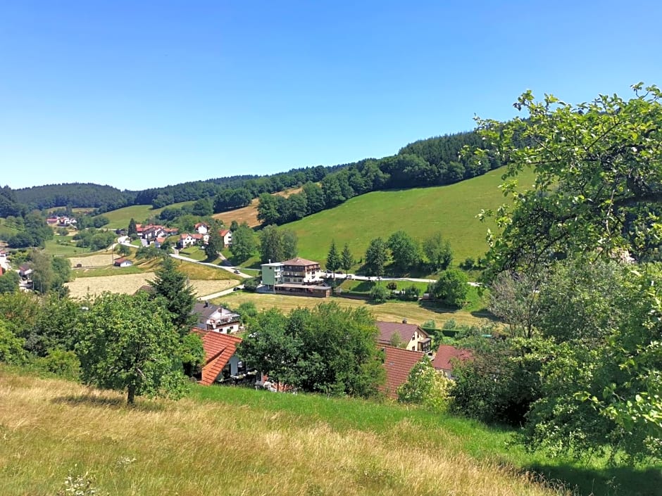 Hotel Grüner Baum mit Restaurant & Wellness