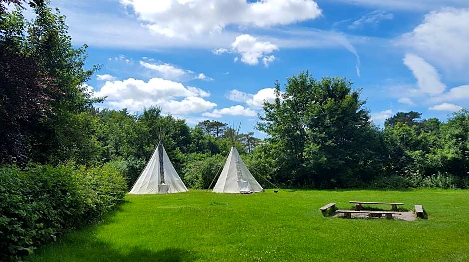 South Downs Eco Lodge & Camping