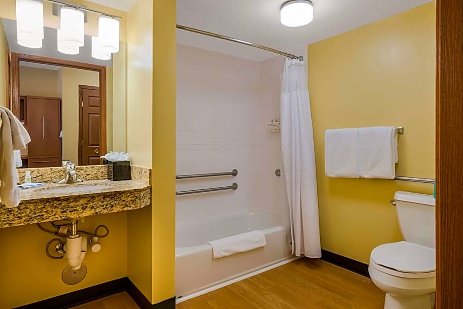 Sonesta Simply Suites Detroit Novi