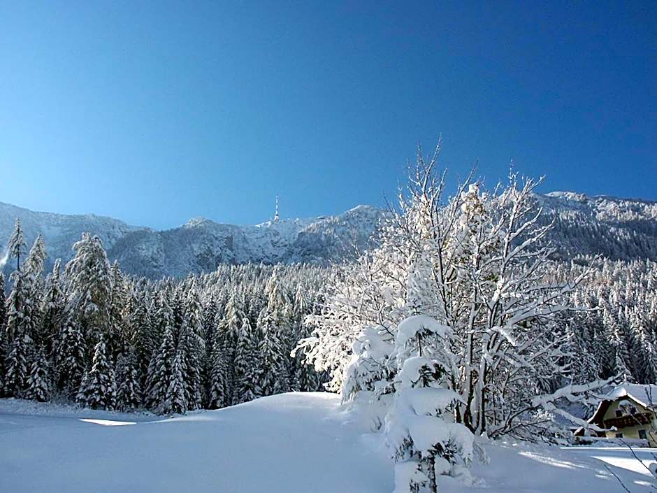 Hotel Vital Bad Bleiberg