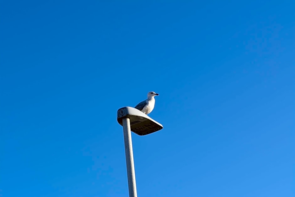 Loriston Guest House