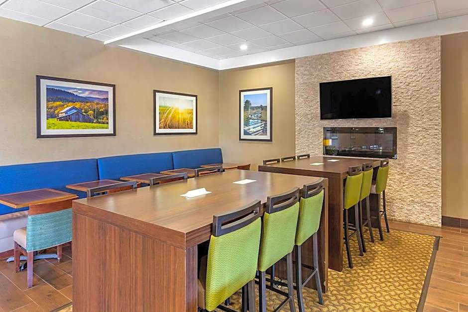 Comfort Inn & Suites near Danville Mall