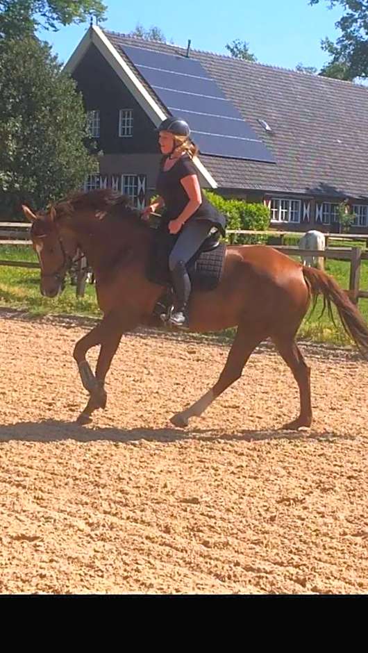 Erve Het Roolvink Boerderij Appartementen 40-50 M2