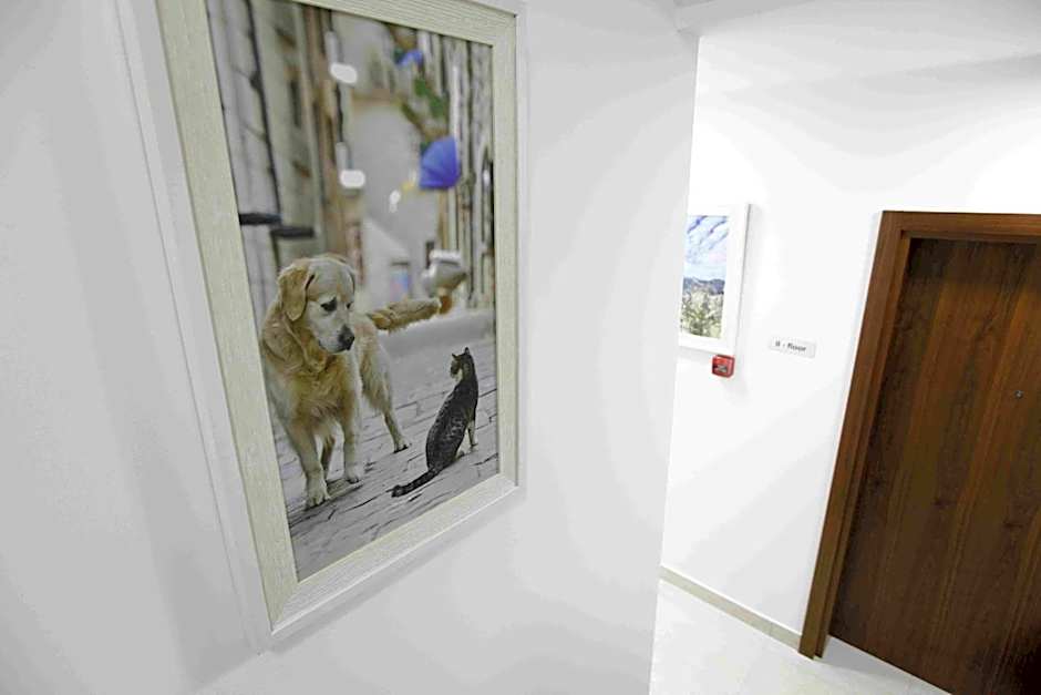 Arka Rooms&Apartments