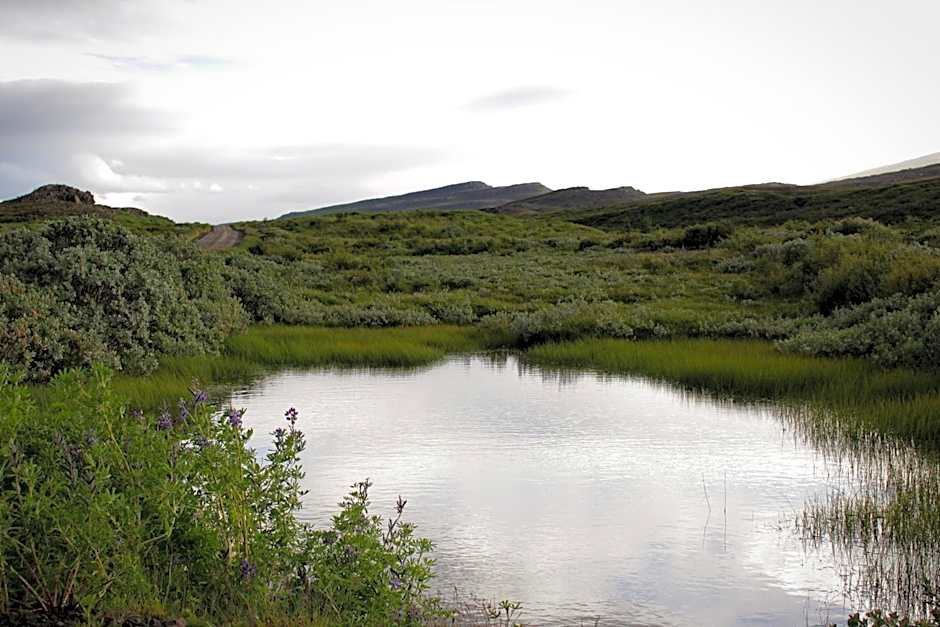 Guesthouse Svartiskógur Egilsstaðir