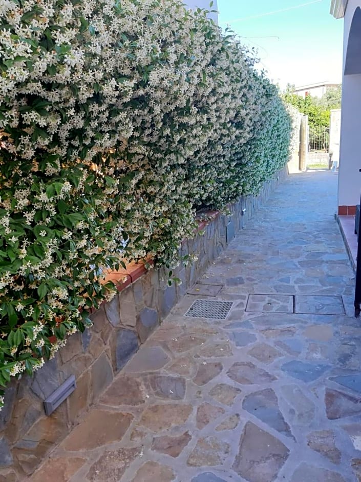 B&B Zurro Room e breakfast