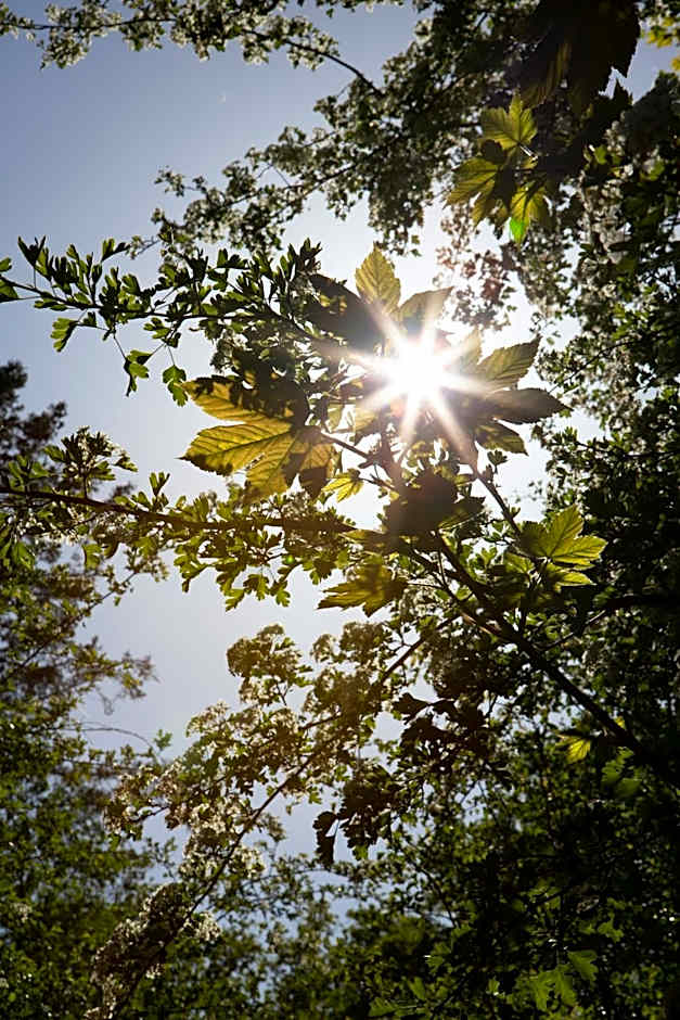 Buitenplaats Petersburg