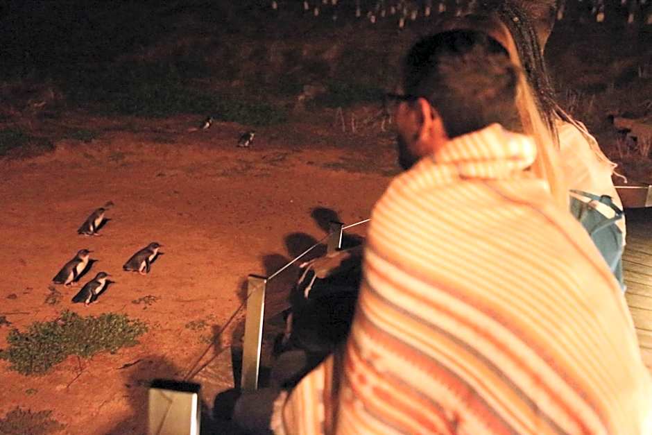 The Island Accommodation