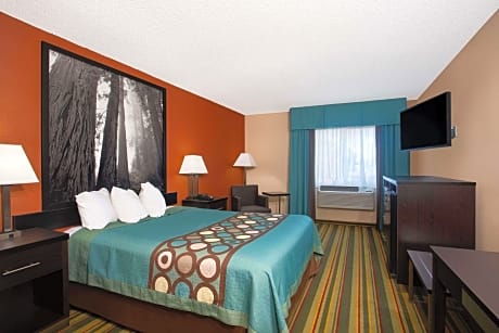 1 King Bed, Non-Smoking