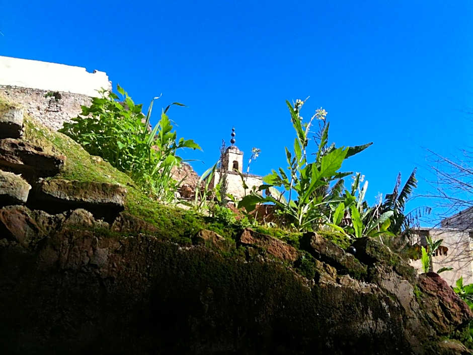 Riad Idrissy
