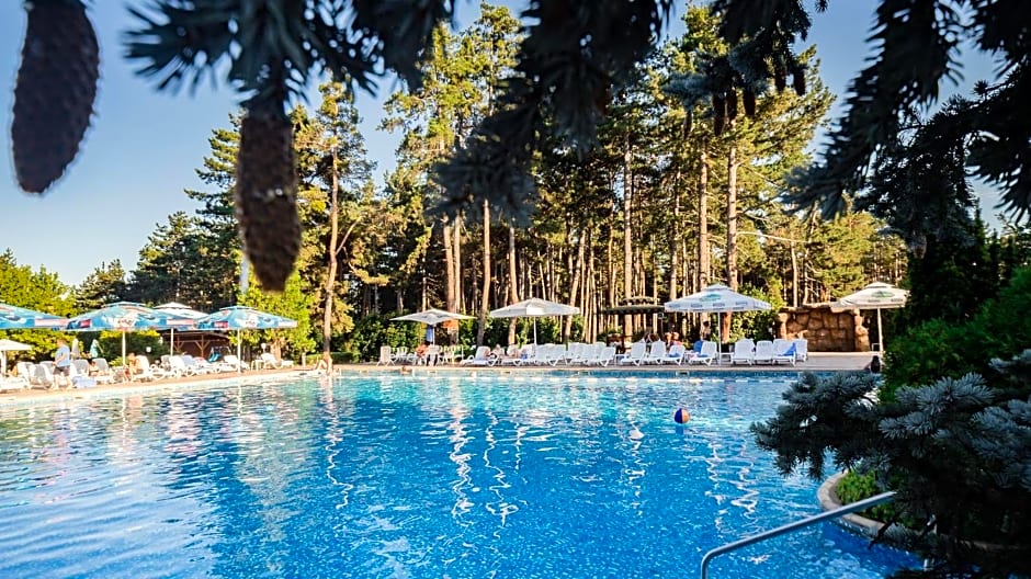 Spa Hotel Dvoretsa