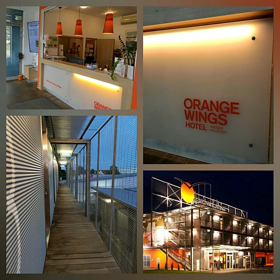 Orange Wings Wiener Neustadt