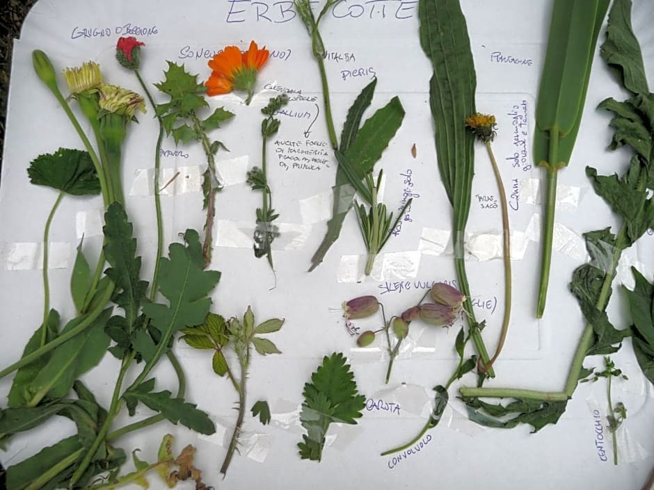 La Bifora e Le Lune Vico sotto gli archi 5