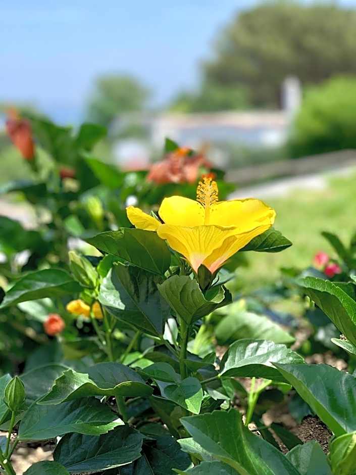 Agapanto Luxury Accommodation