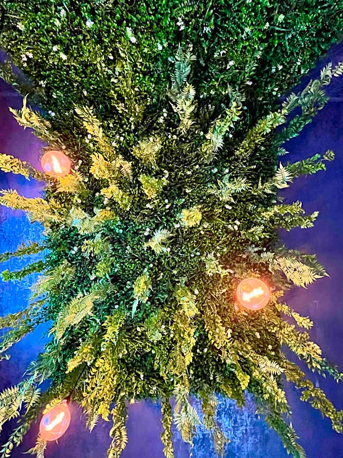 Cozy Hideout - Condo Hotel