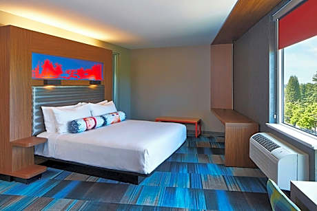 Room, 1 King Bed (Mobility Accessible, Tub)