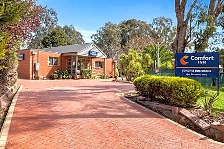 Comfort Inn Coach & Bushmans