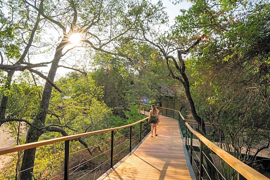 Thornybush Game Lodge
