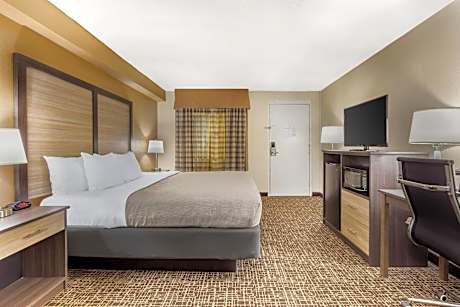 Efficiency King Suite - Non Smoking