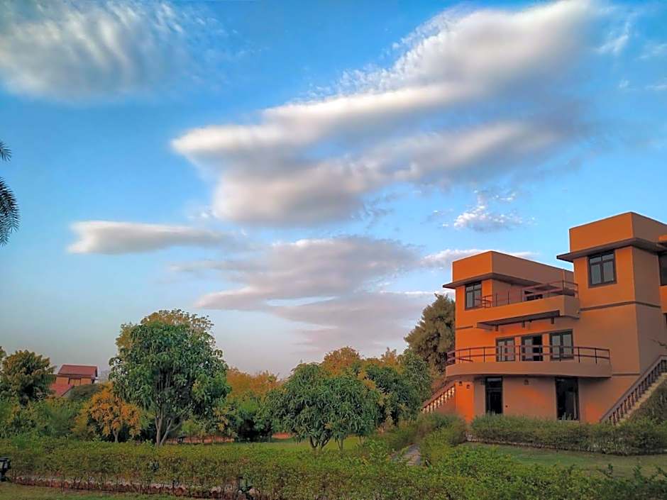 Clarks Safari Pushkar