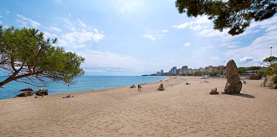 Medplaya Hotel Monterrey