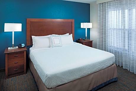 Studio Suite, 1 King Bed with Sofa bed (1 King Bed and 1 Double Sofa Bed)